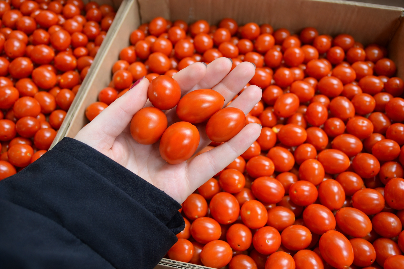 How to Request Samples and Technical Docs (B2B Checklist)