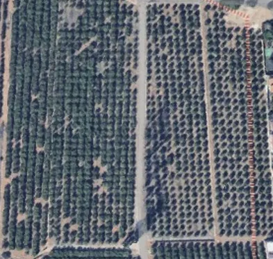 Monte horquera explotation field