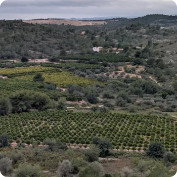 Finca Montesano