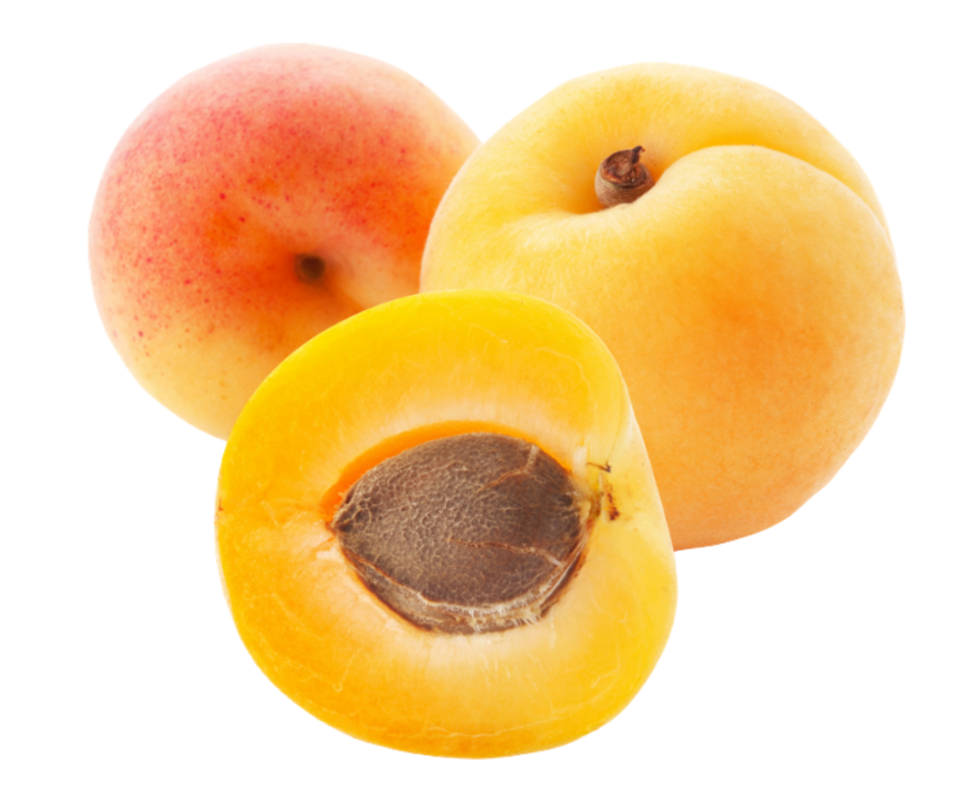 apricot albaricoque export spain