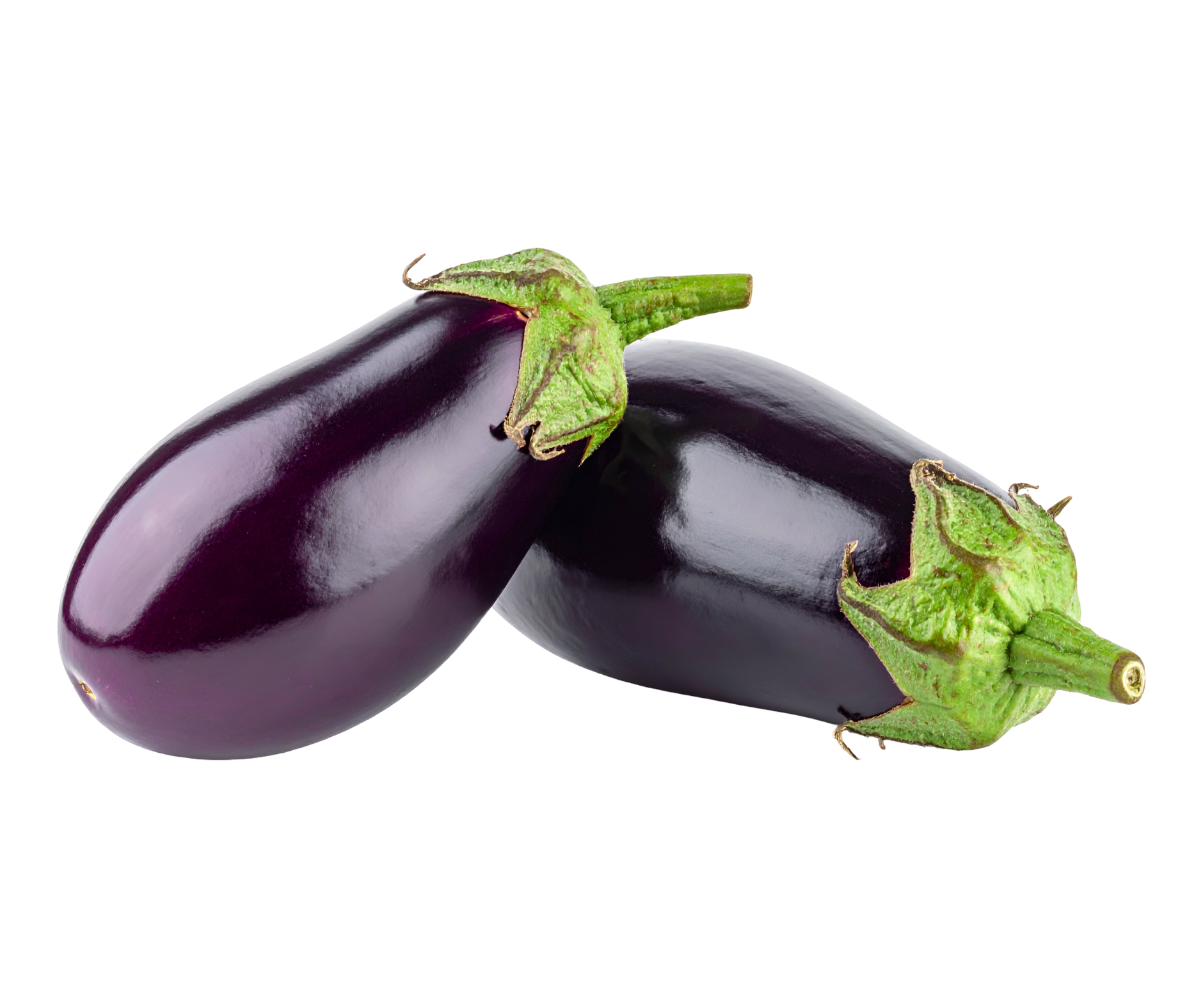 aubergine berenjena export spain