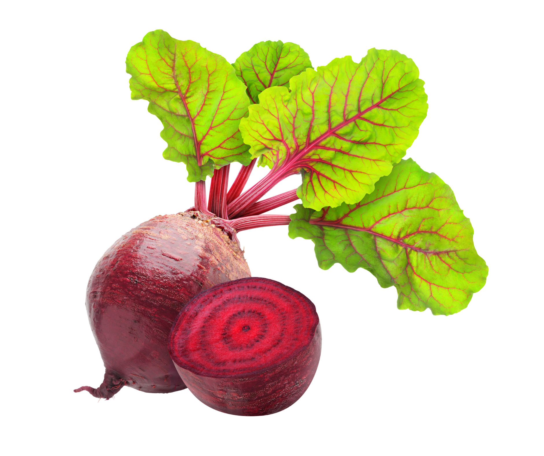beetroot remolacha export spain