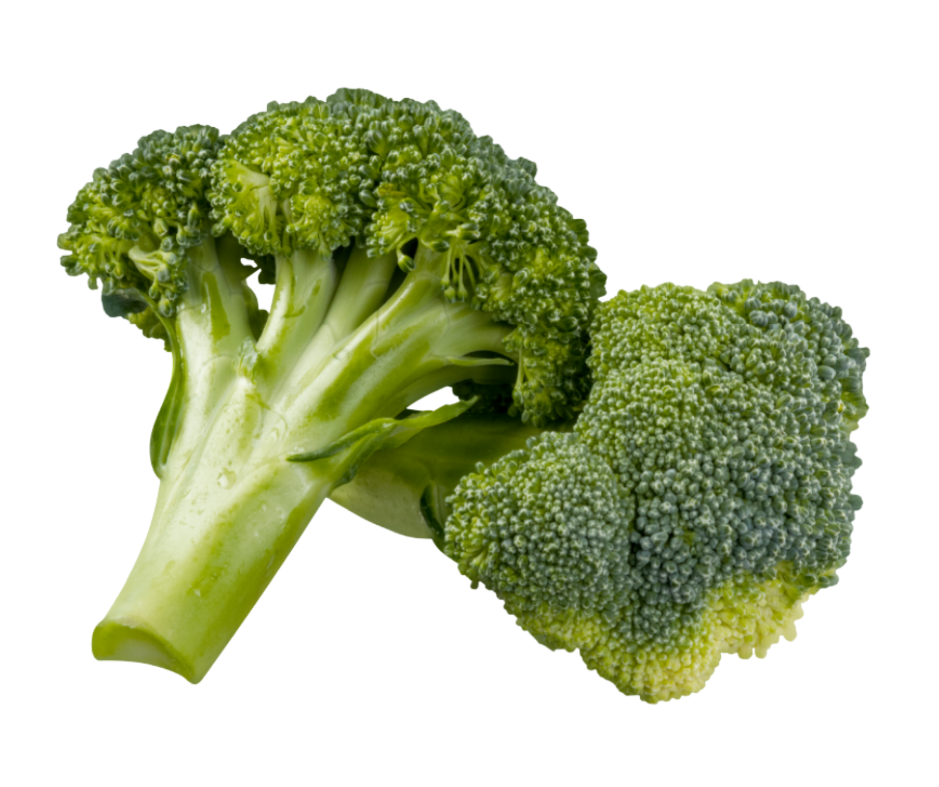 broccoli brocoli export spain