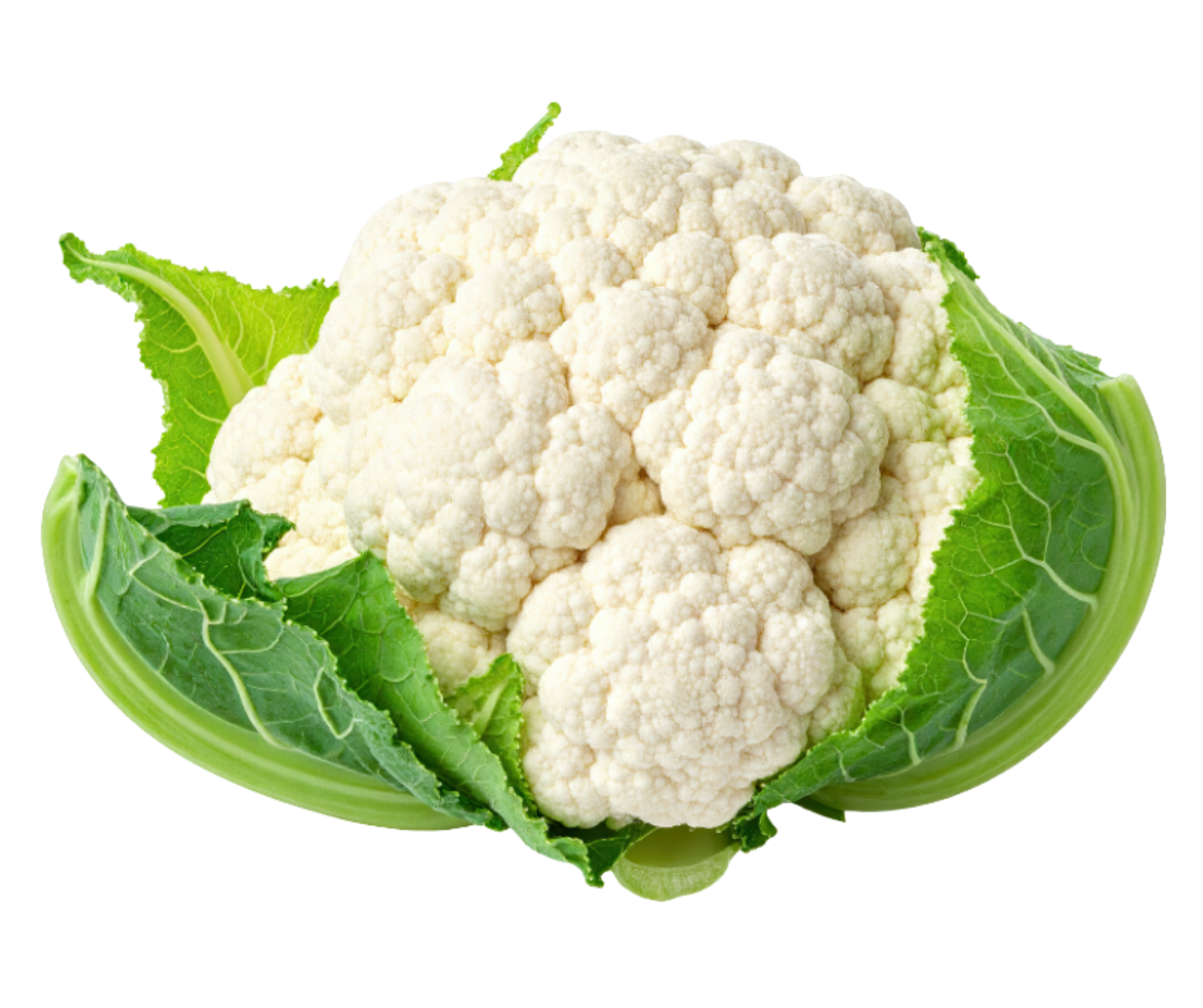 cauliflowe coliflor export spain