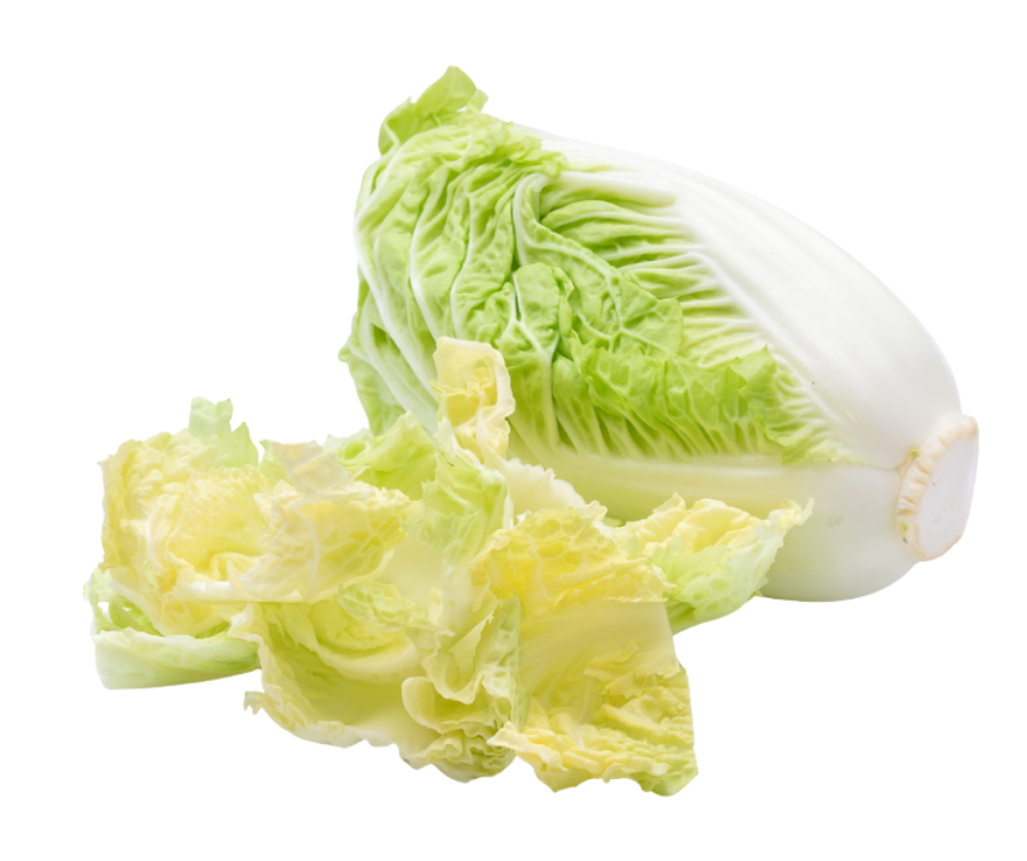 chinese col repollo chino export spain