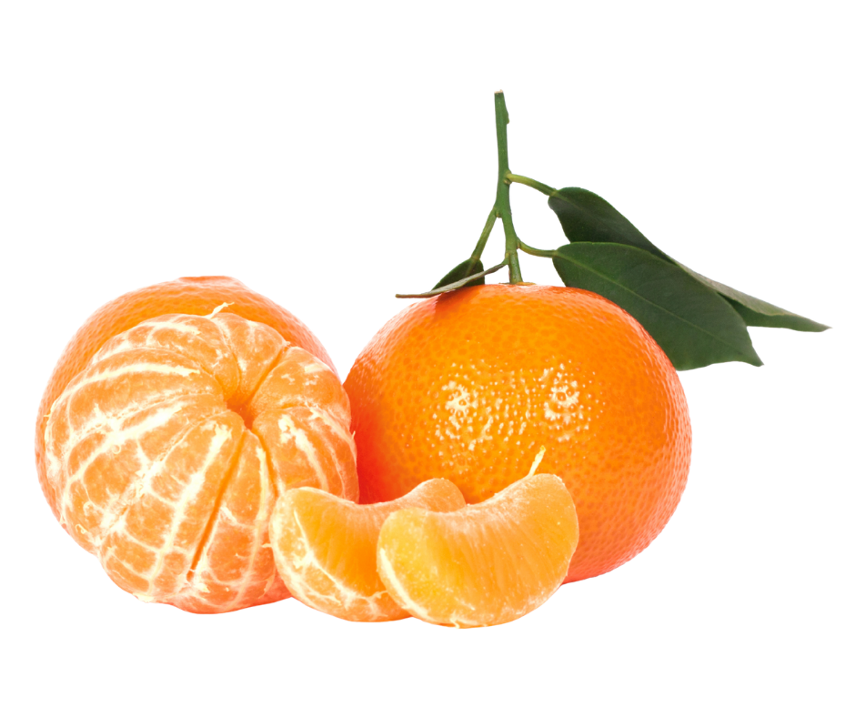 clementine clementina export spain