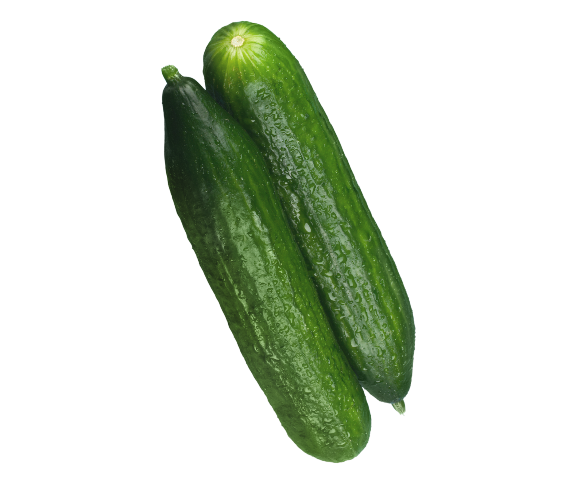 Cucumber pepino export spain
