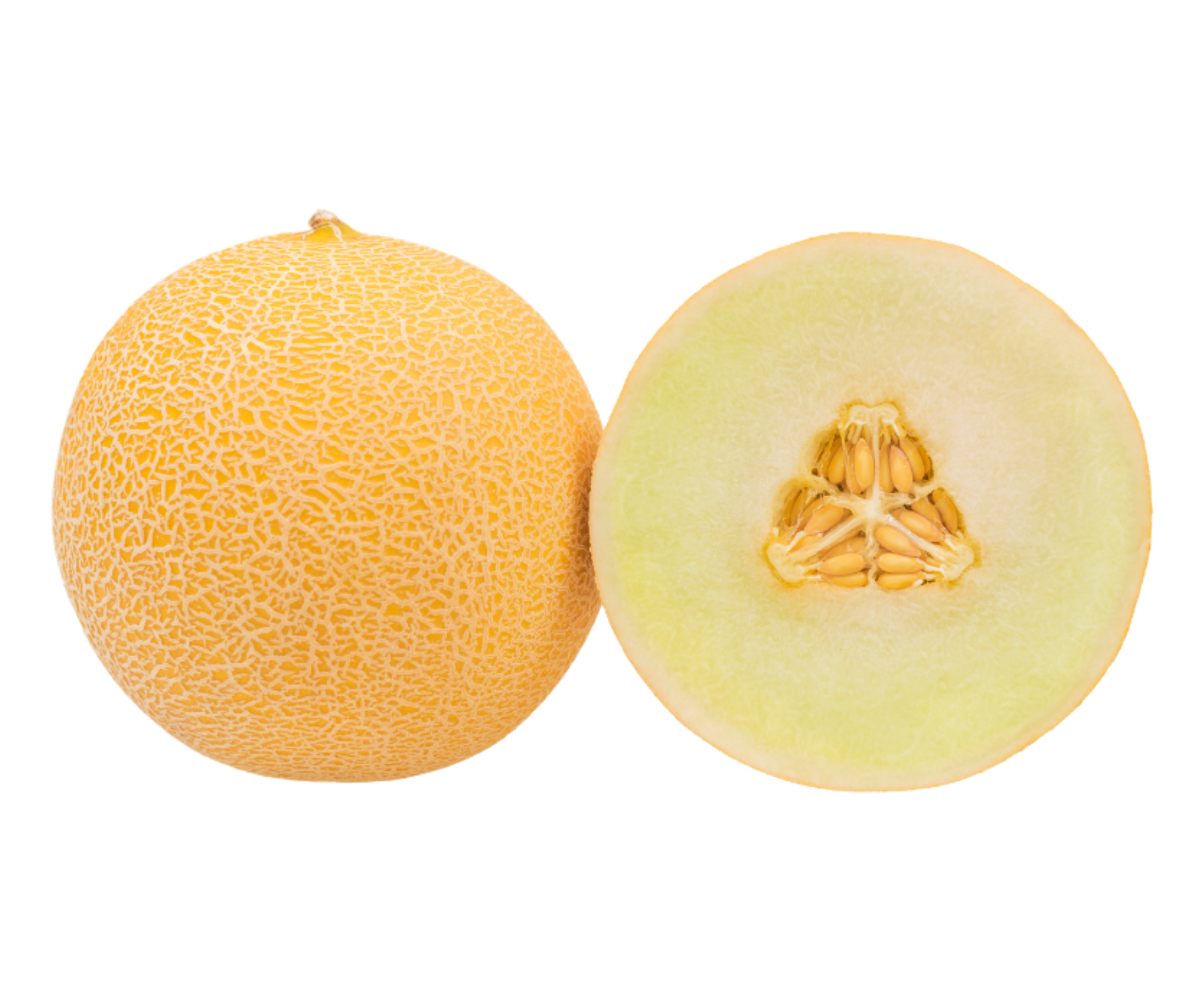 galia melon export spain