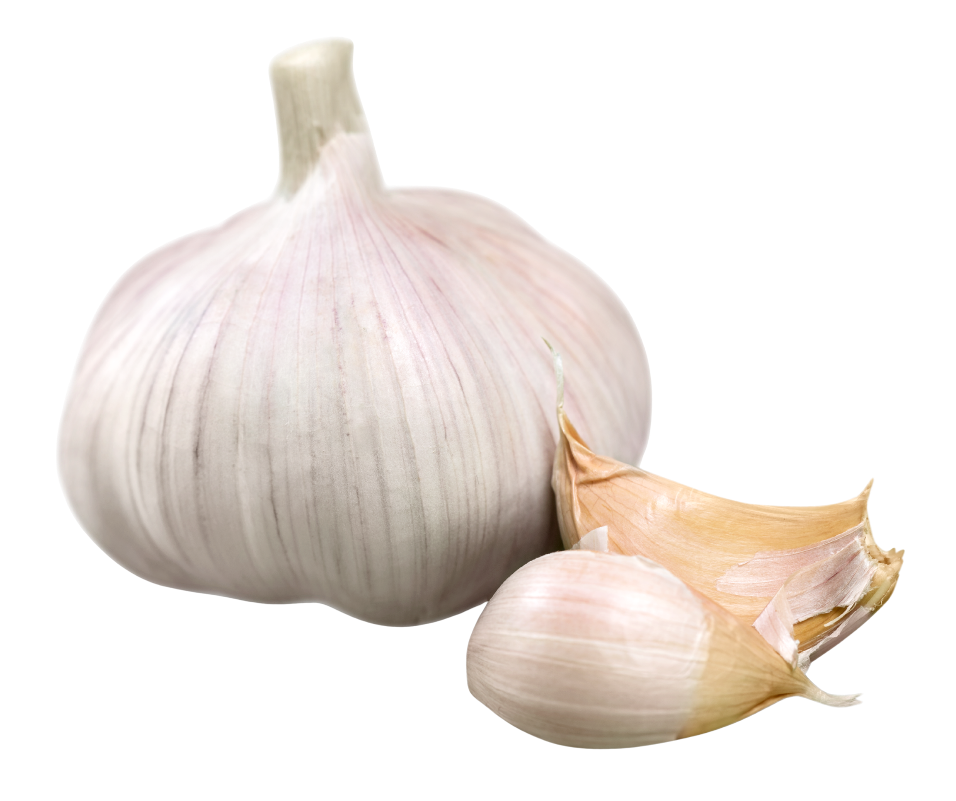 garlic ajo export spain