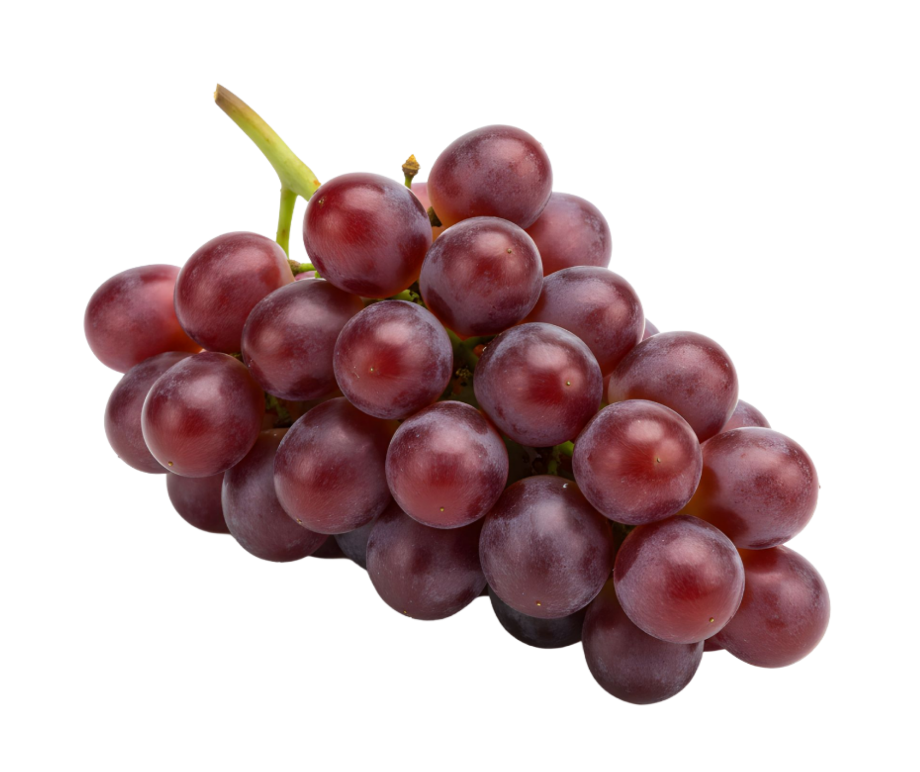 grape uva export spain