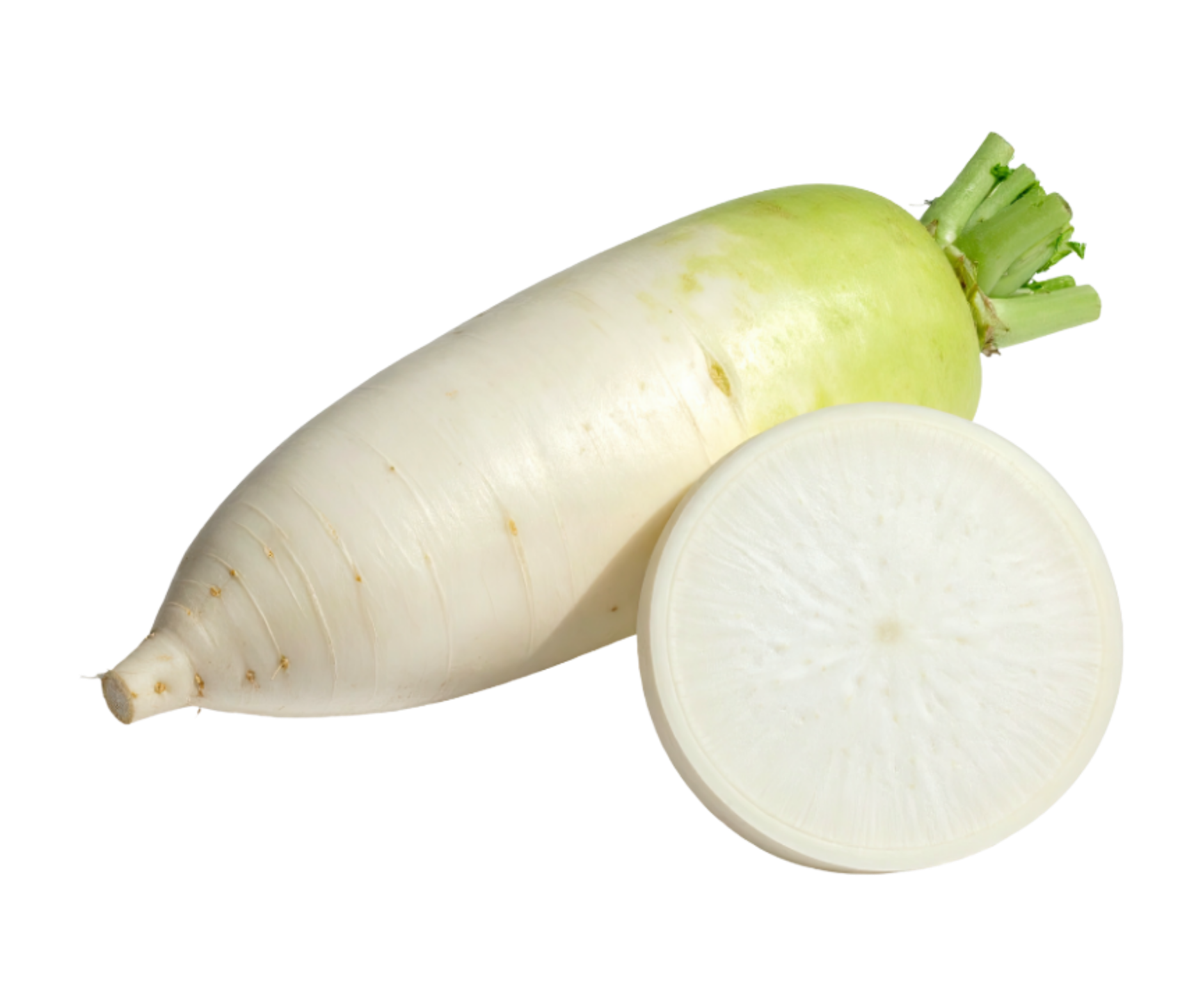 hammer turnip nabo martillo export spain