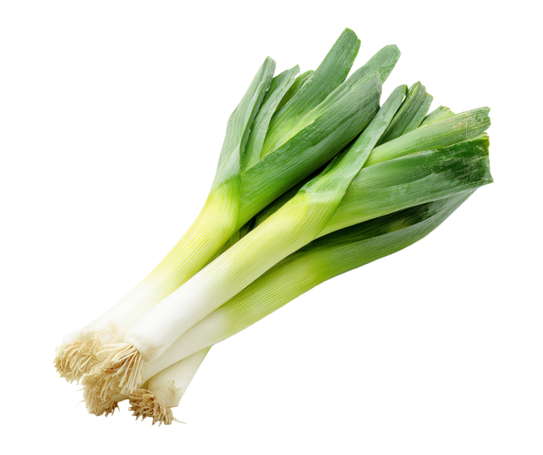 leek puerro export spain