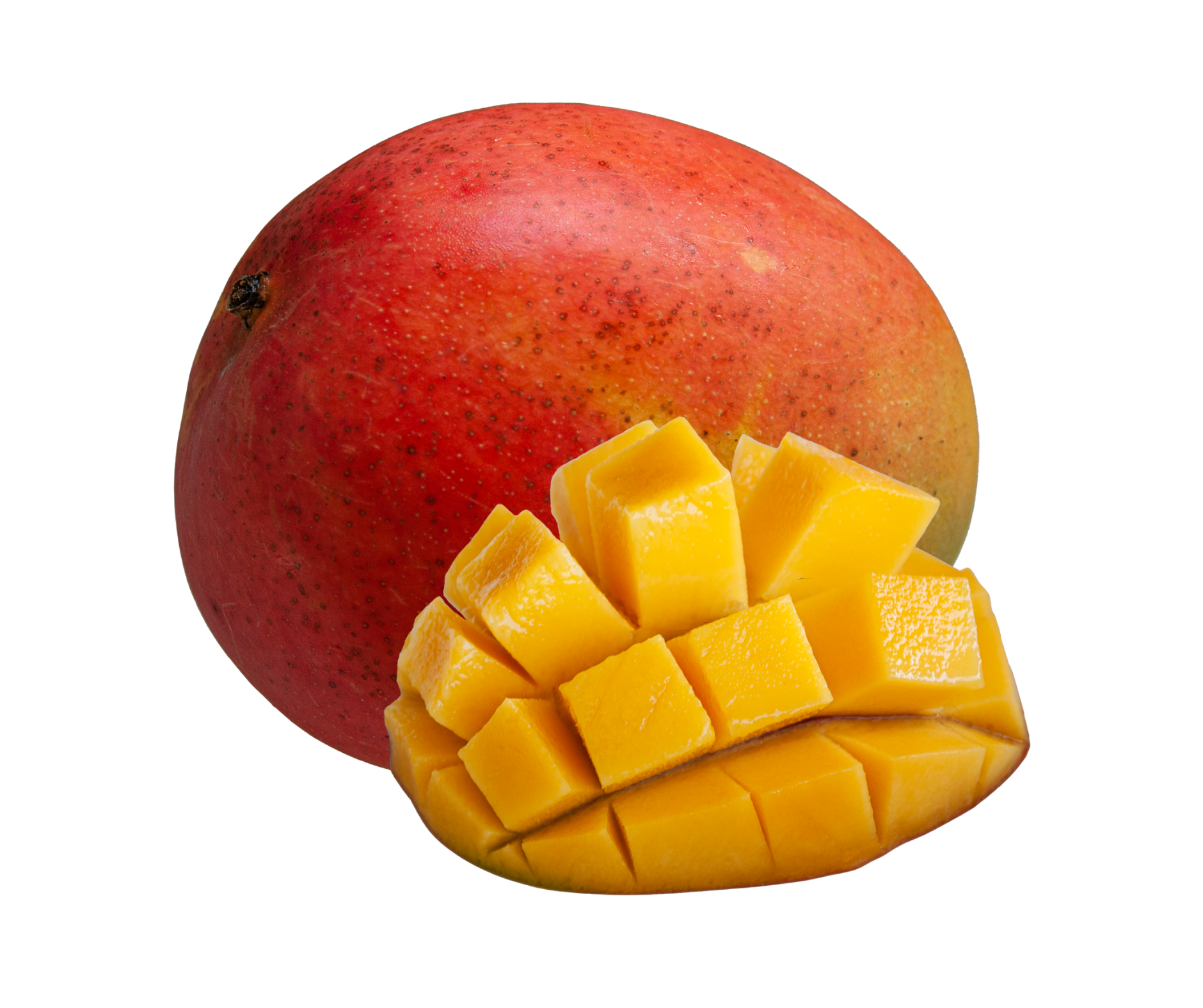 mango export spain