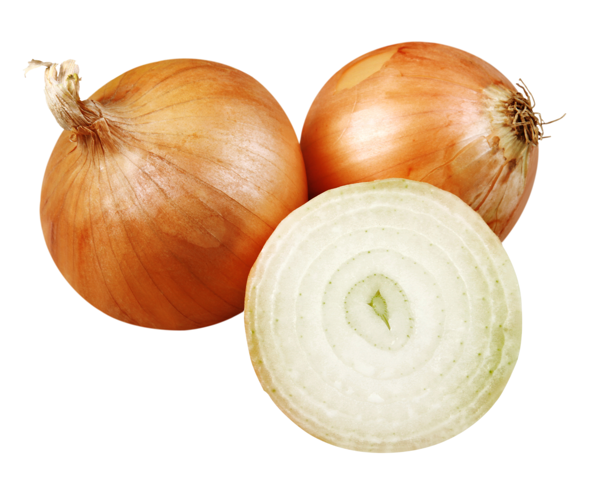 onion cebolla export spain