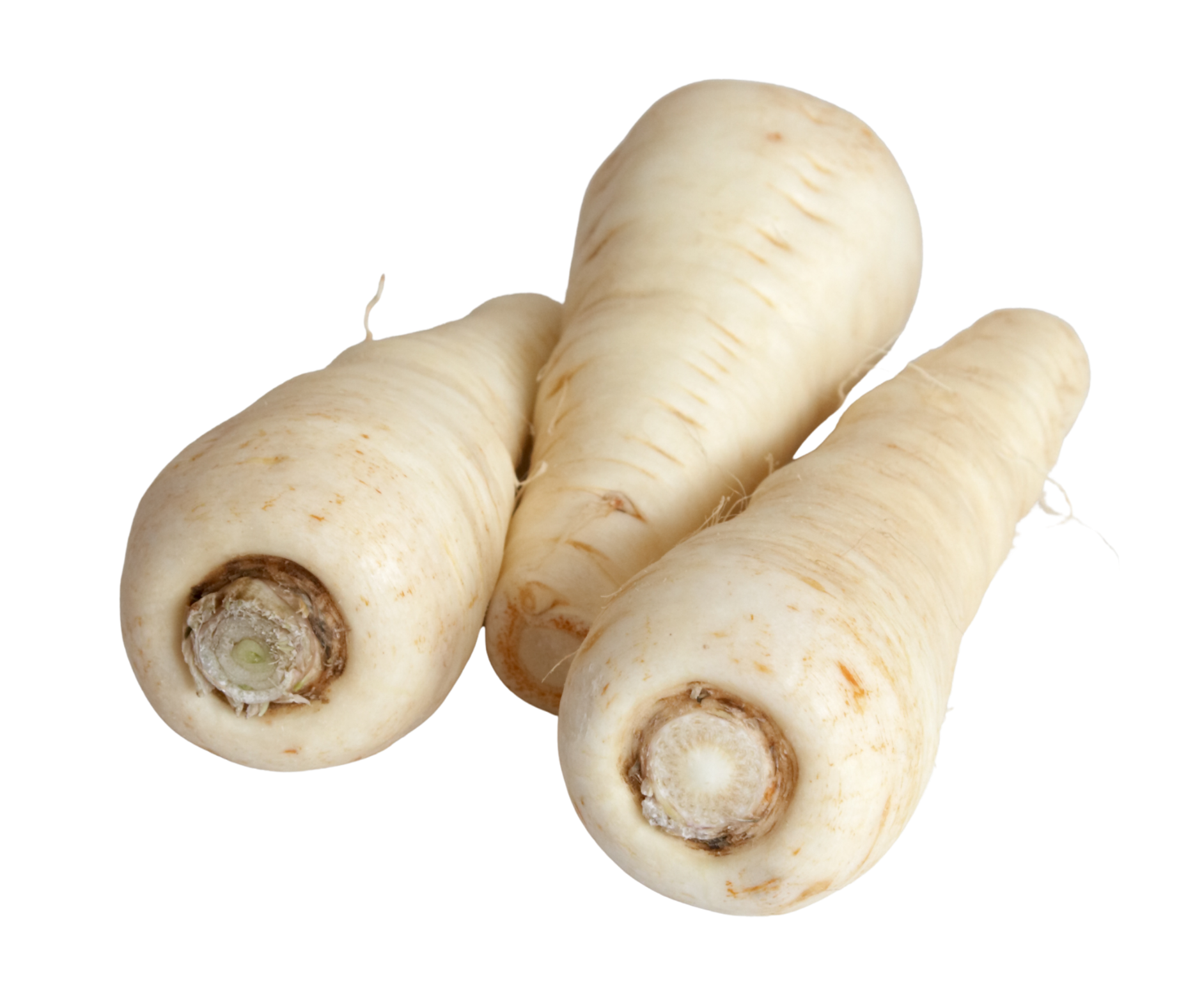 parsnip chirivia export spain