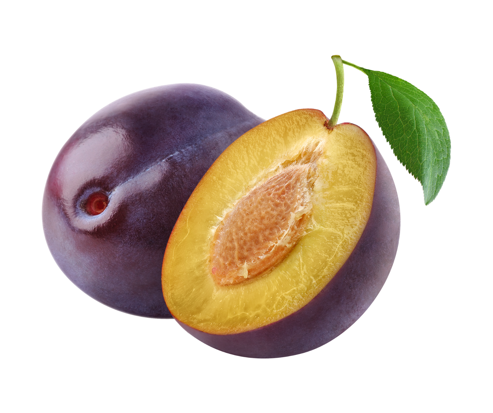 plum ciruela export spain