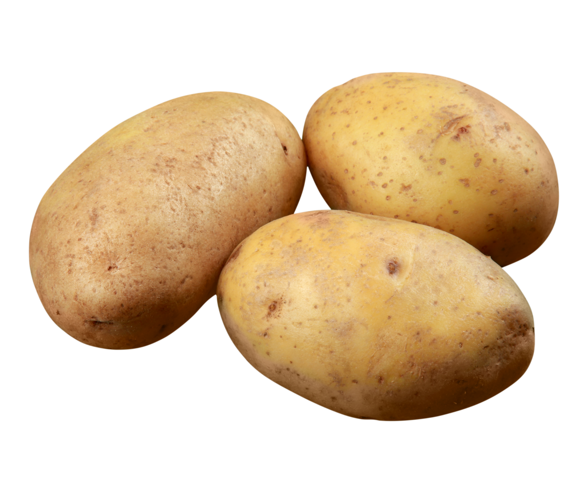 potato patata export spain