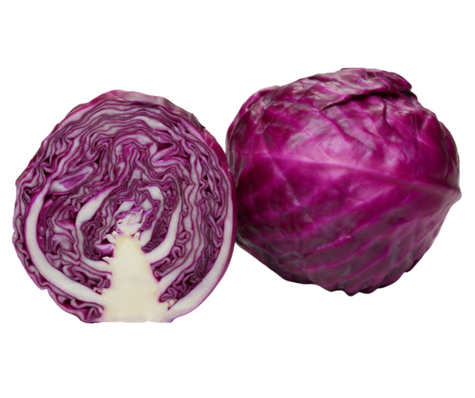 red cabbage repollo rojo export spain