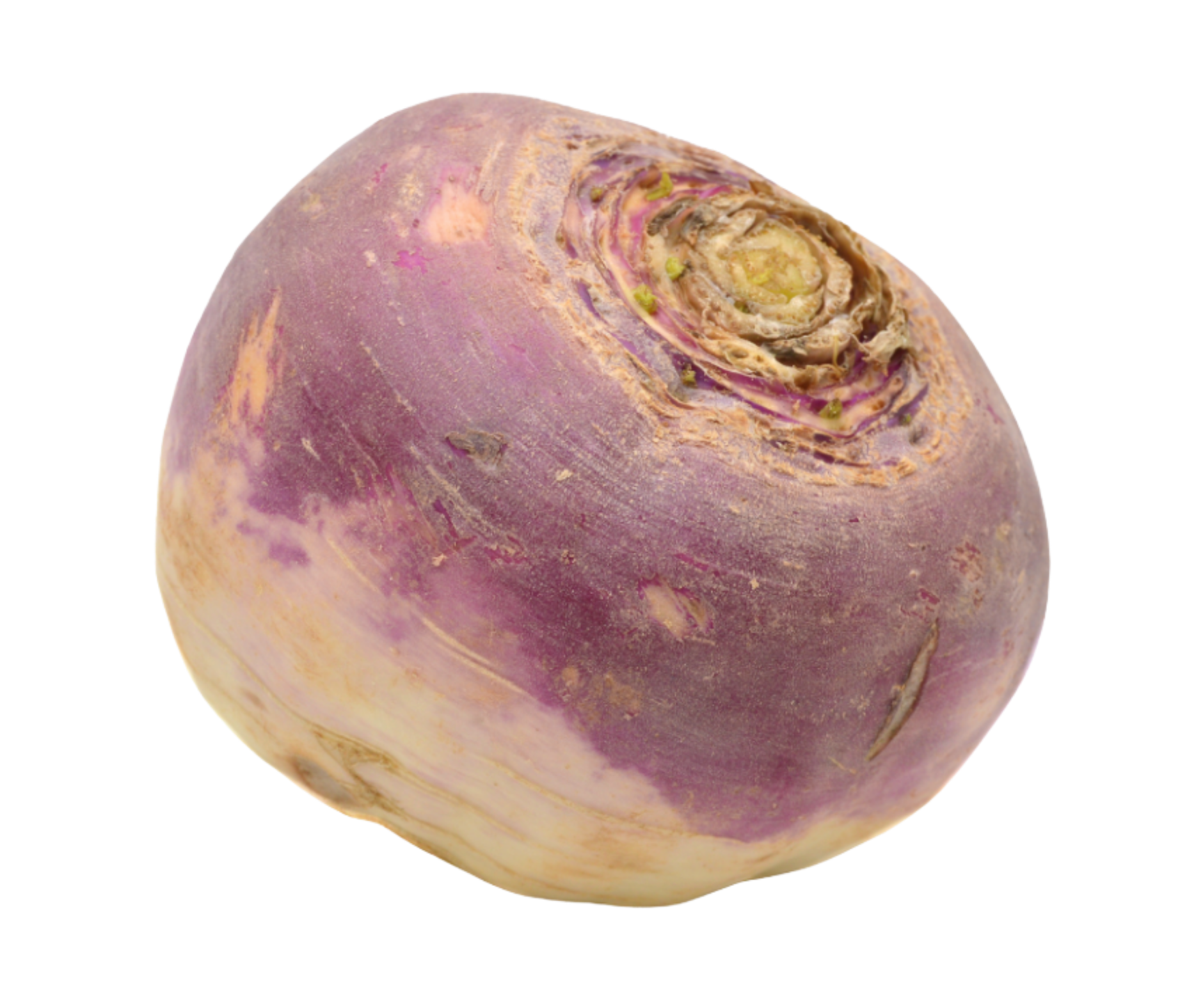 swede colinabo sueco export spain