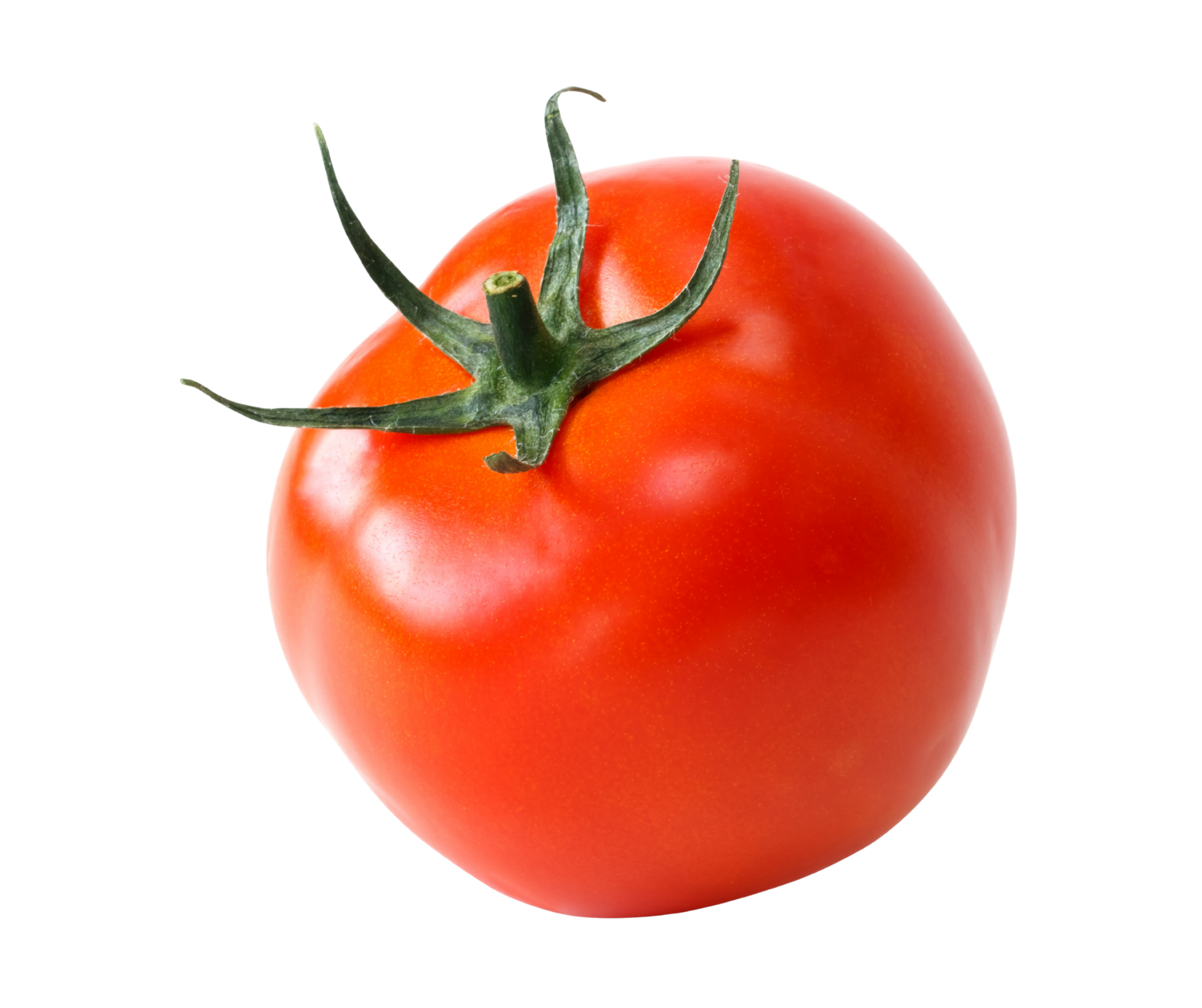 Tomato tomate export spain