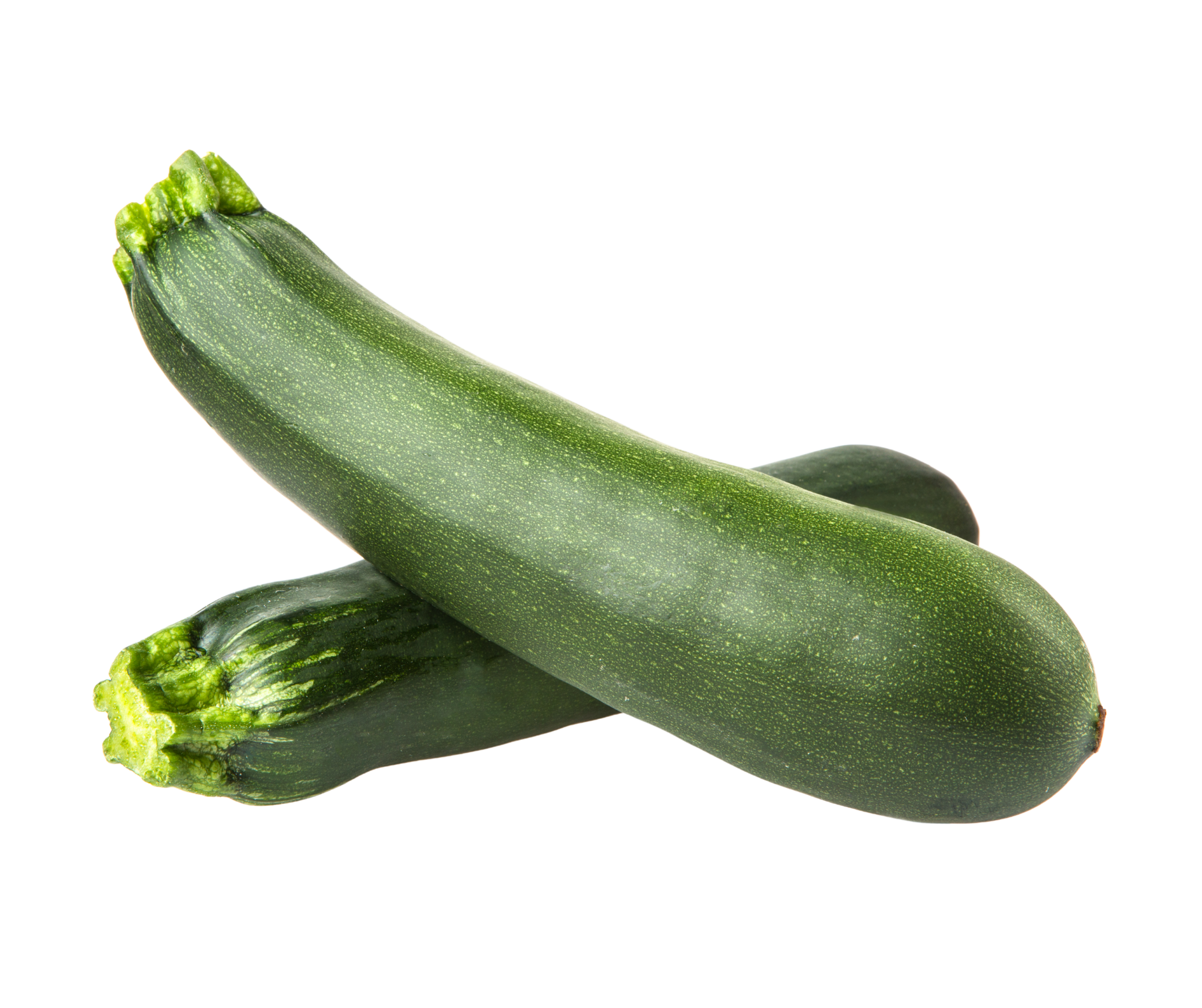 zucchini calabacin export spain
