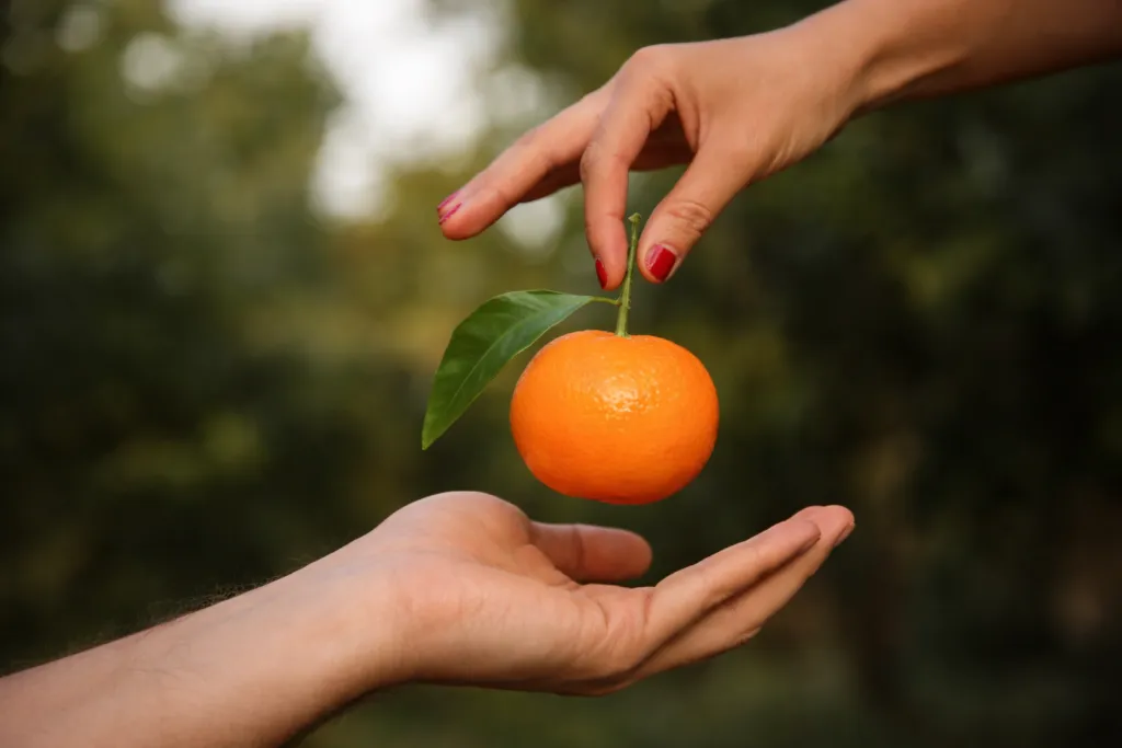 Seasonal Buying Guide: Spanish Produce Calendar for Importers